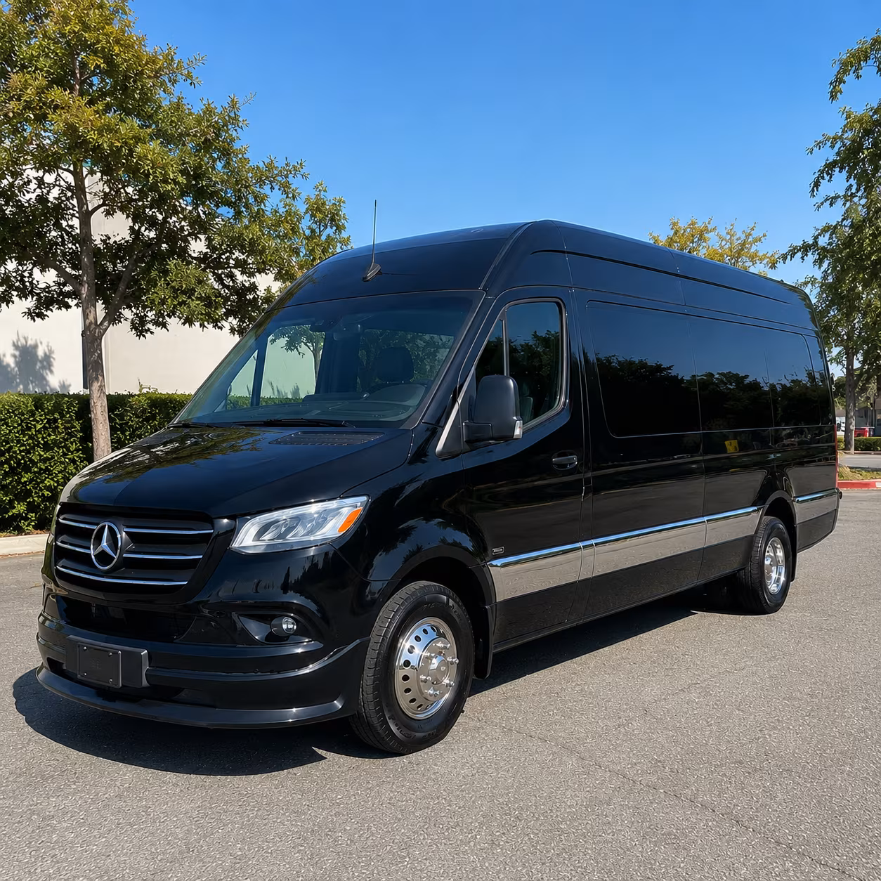 temecula 12 passenger sprinter van